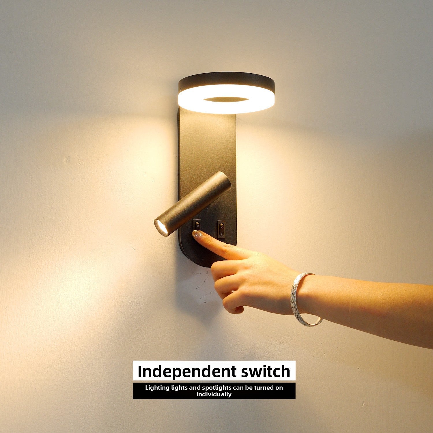 Rotatable LED Wall Lamp with Dual Switch